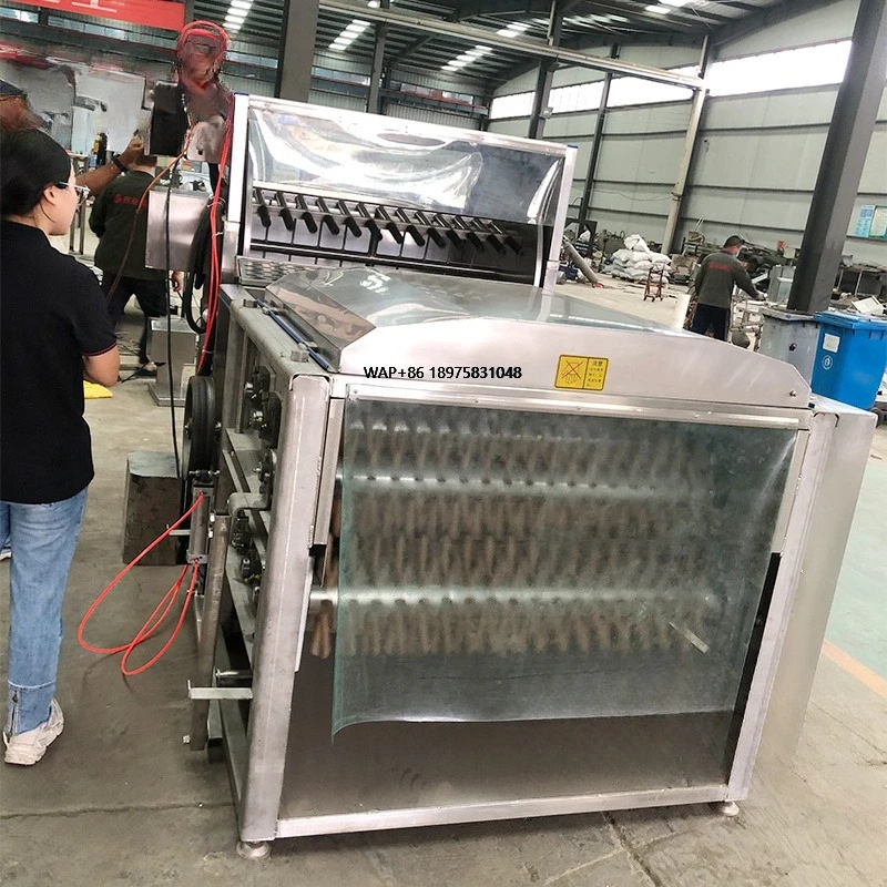 African Small Poultry Slaughtering Line Slaughtering Equipment Full Set of Stainless Steel