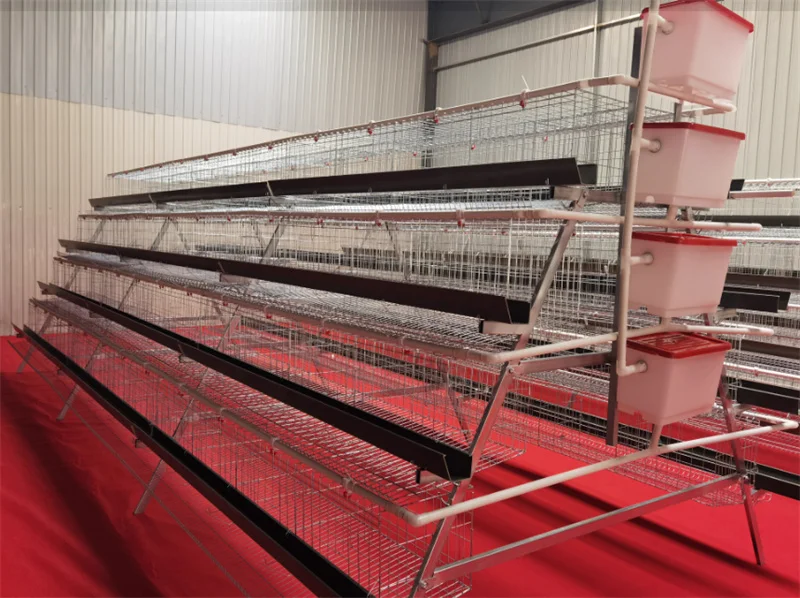 Manufacturer wholesale   poultry farm cage