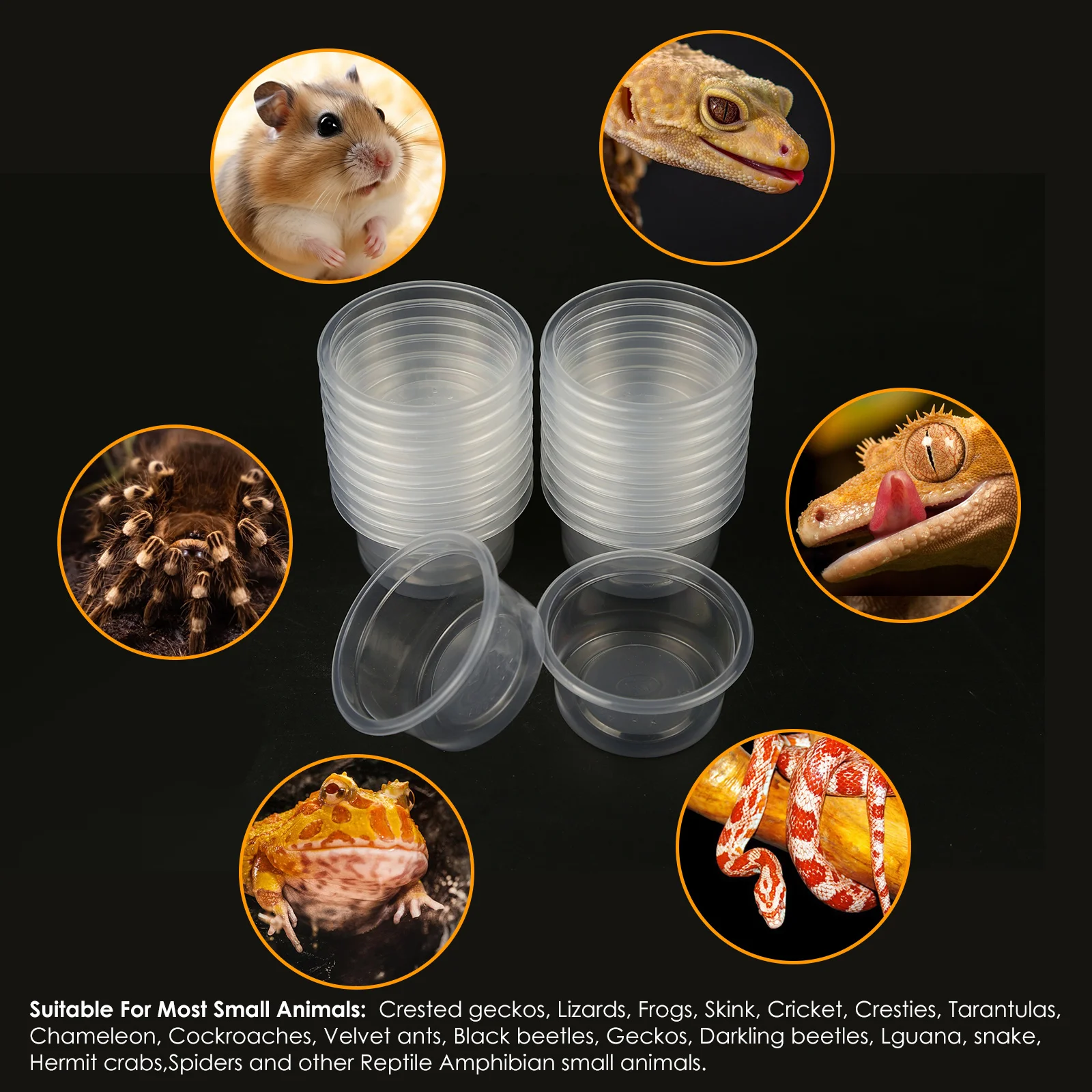 Thumbnail 3 - #2 Compare Reptile Water Bowls Before You Buy