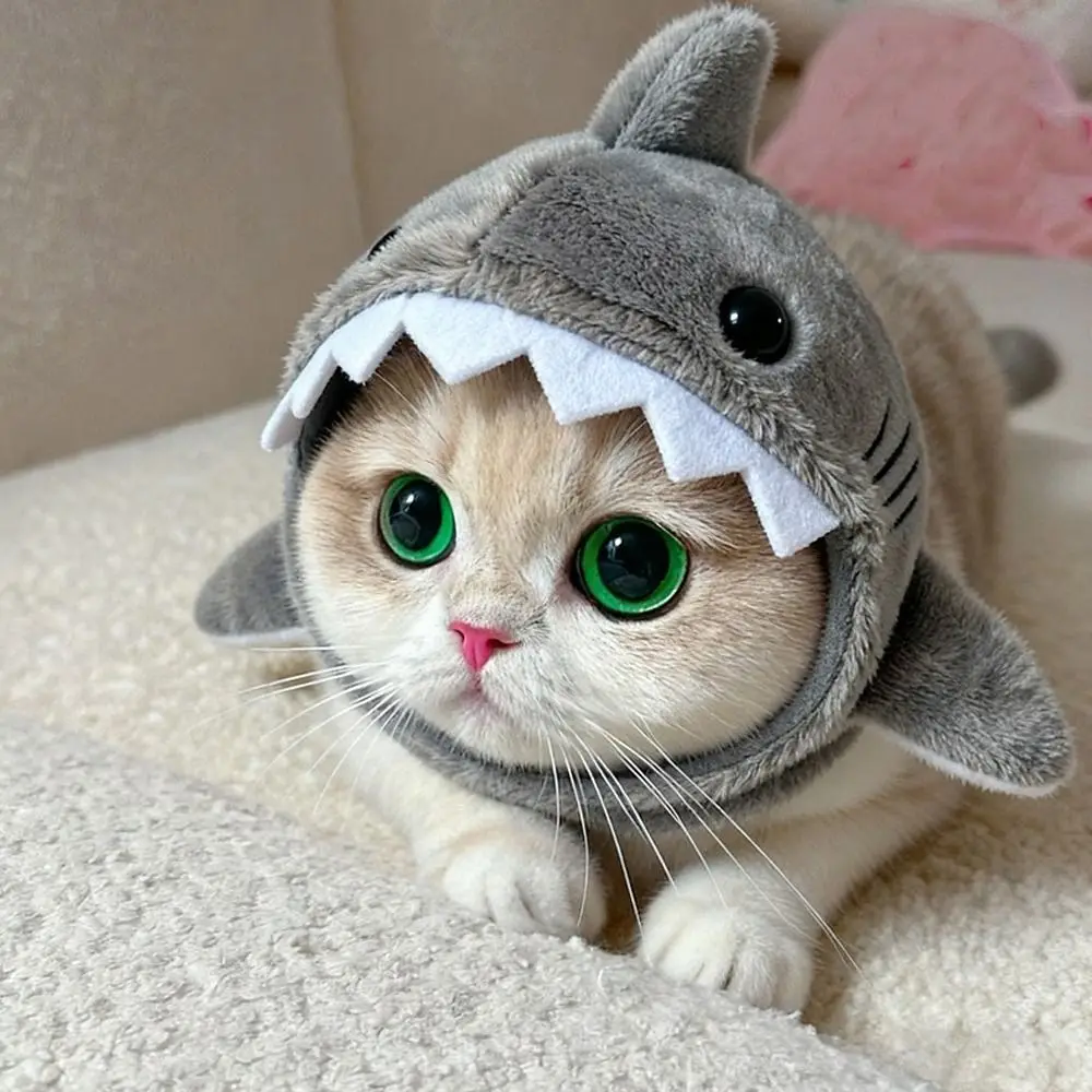 AliExpress