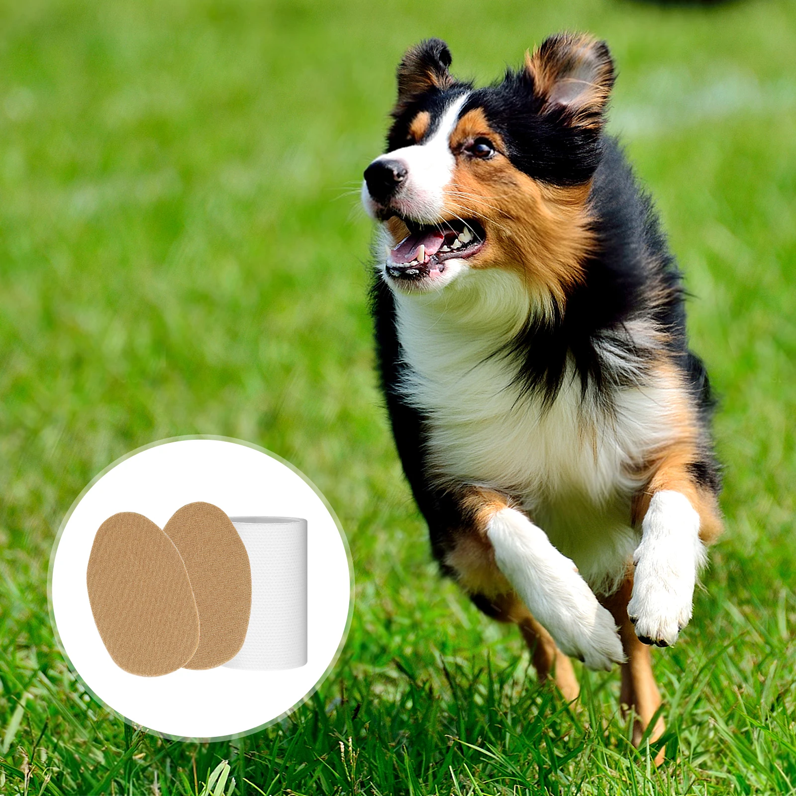 

Dog Ear Care Stickers Taping Pet Dog Ear Straightener Comfortable Ear Stand Up Sticker Stand Puppy Dog Supplies Ear Care Tools