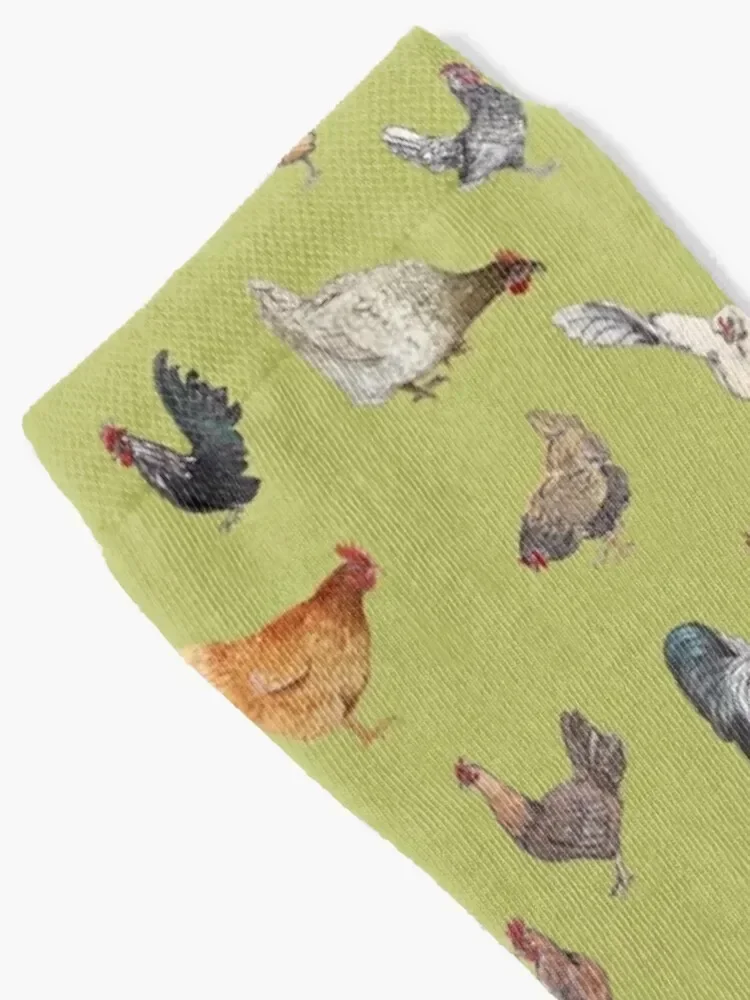 Chicken Happy pattern w/ light olive green background Socks luxe Children's Lots Sports Male Socks Women's