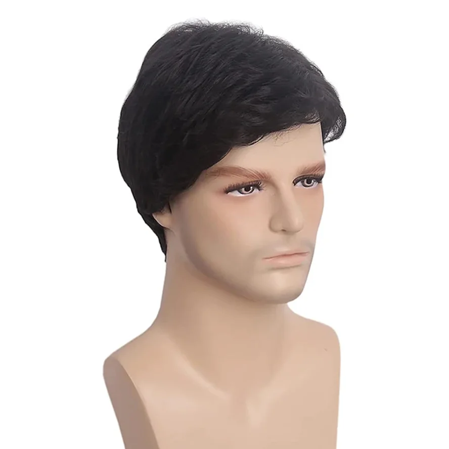 Black Men Wig Short Wigs for Mens Short Straight Synthetic Layer Hair For Man Male Guy Daily Cosplay Mens Wig