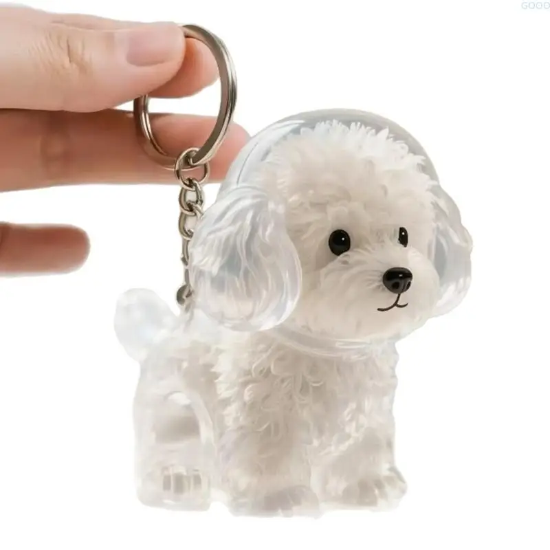 23GA Clear Pet Hair Memorial Jewelry Keepsakes Dog Furs Storage Box Keychain Pendant