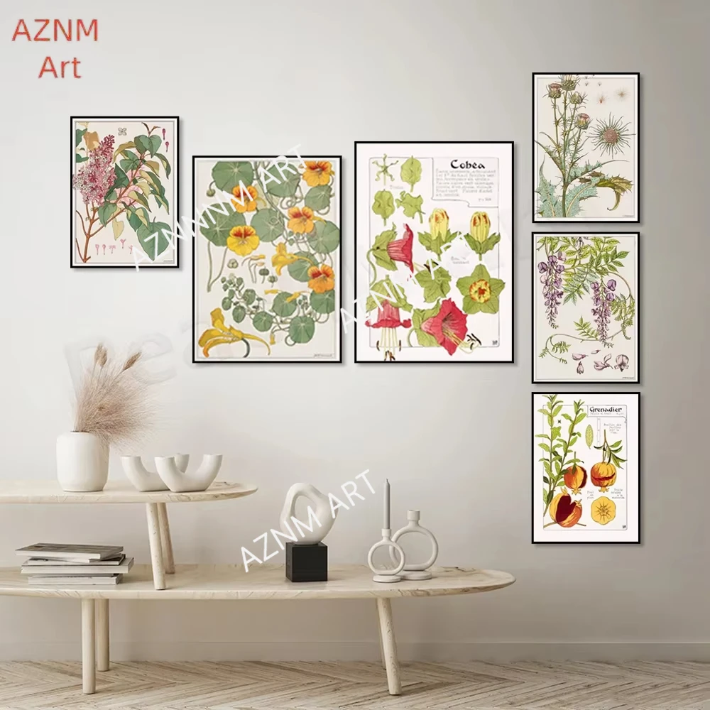 Póster Floral Art Nouveau con Dibujo de Frutas, Cardo, Nasturtium, Piña, Cítricos, Granada, Plátano, Decoración de Pared en Acuarela