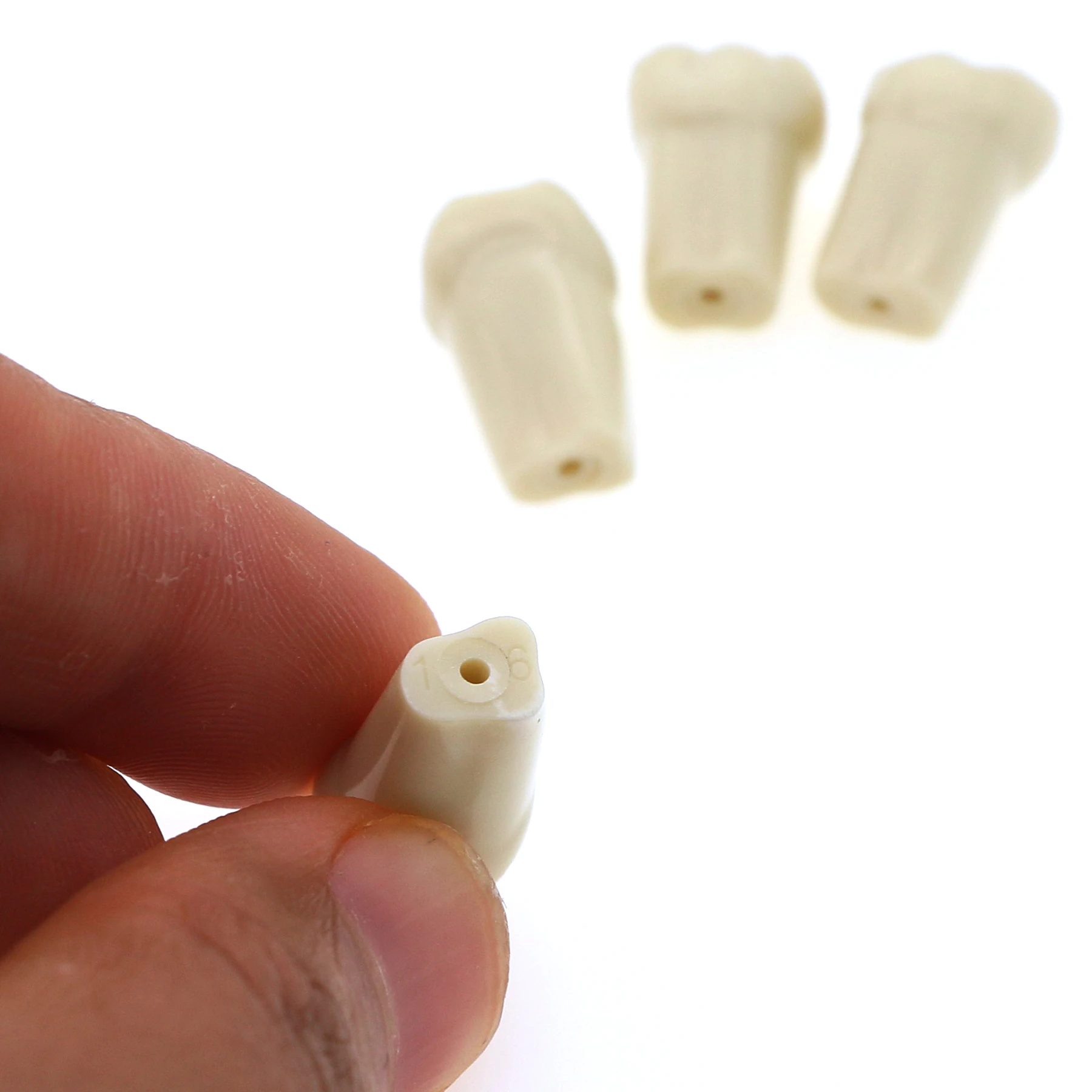 M8014-2 Frasaco AG3 Type Dental Typodont Model Restorative Screw-in Removable 32PC Teeth  with Serial Number