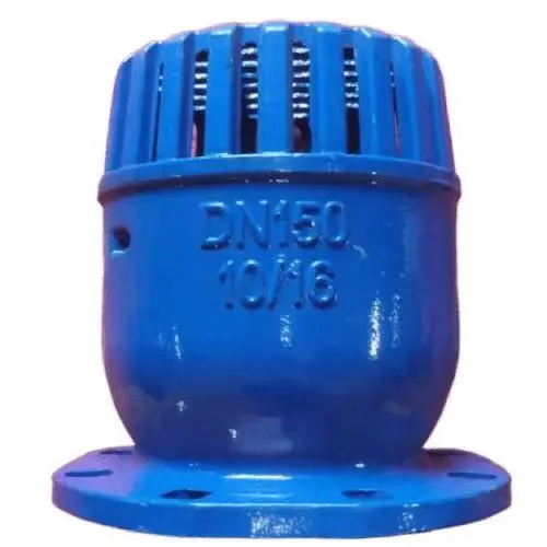 

Thickened large flow flange rubber plate bottom valve cast iron water pump one-way check bottom valve suction pump