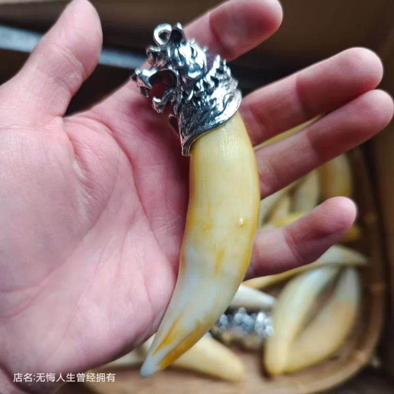 Collection of cultural toys bone powder pressed animal teeth gifts imitation cat dog teeth, imitation tiger teeth pendants