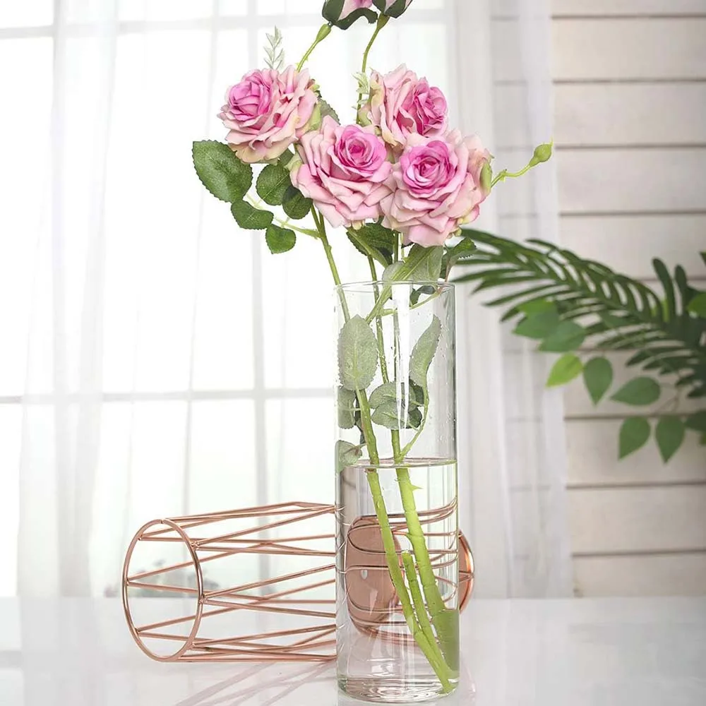 Geometric Glass Flower Vase with Metal Holder Crystal Clear Transparent Planter Flowers Vase Clear Vase Home Office Decor