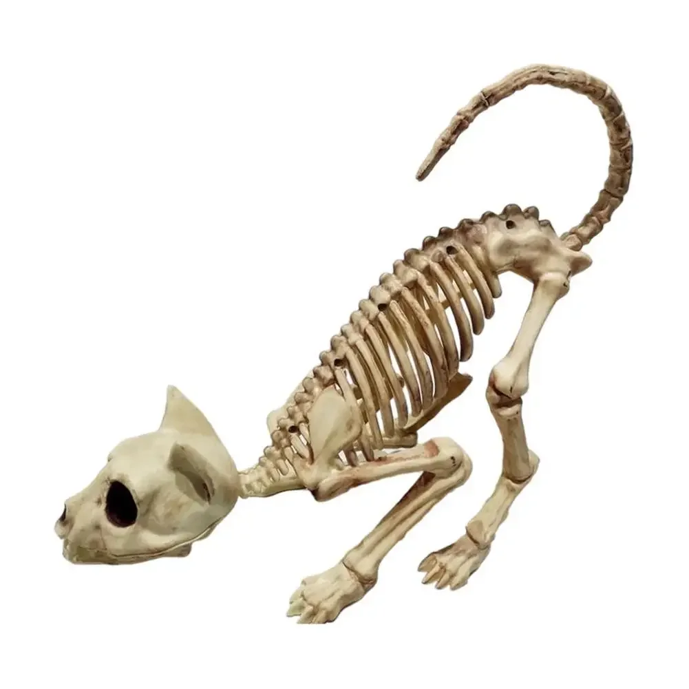 Excellent Skeleton Cat Statue Realistic Looking Enhance Atmosphere Eco-friendly Creepy Animal Bones Yard Garden Decoration