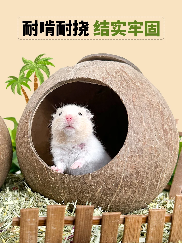 Hamster Coconut Shell Shelter Summer Cooling Coconut Landscape Supplies