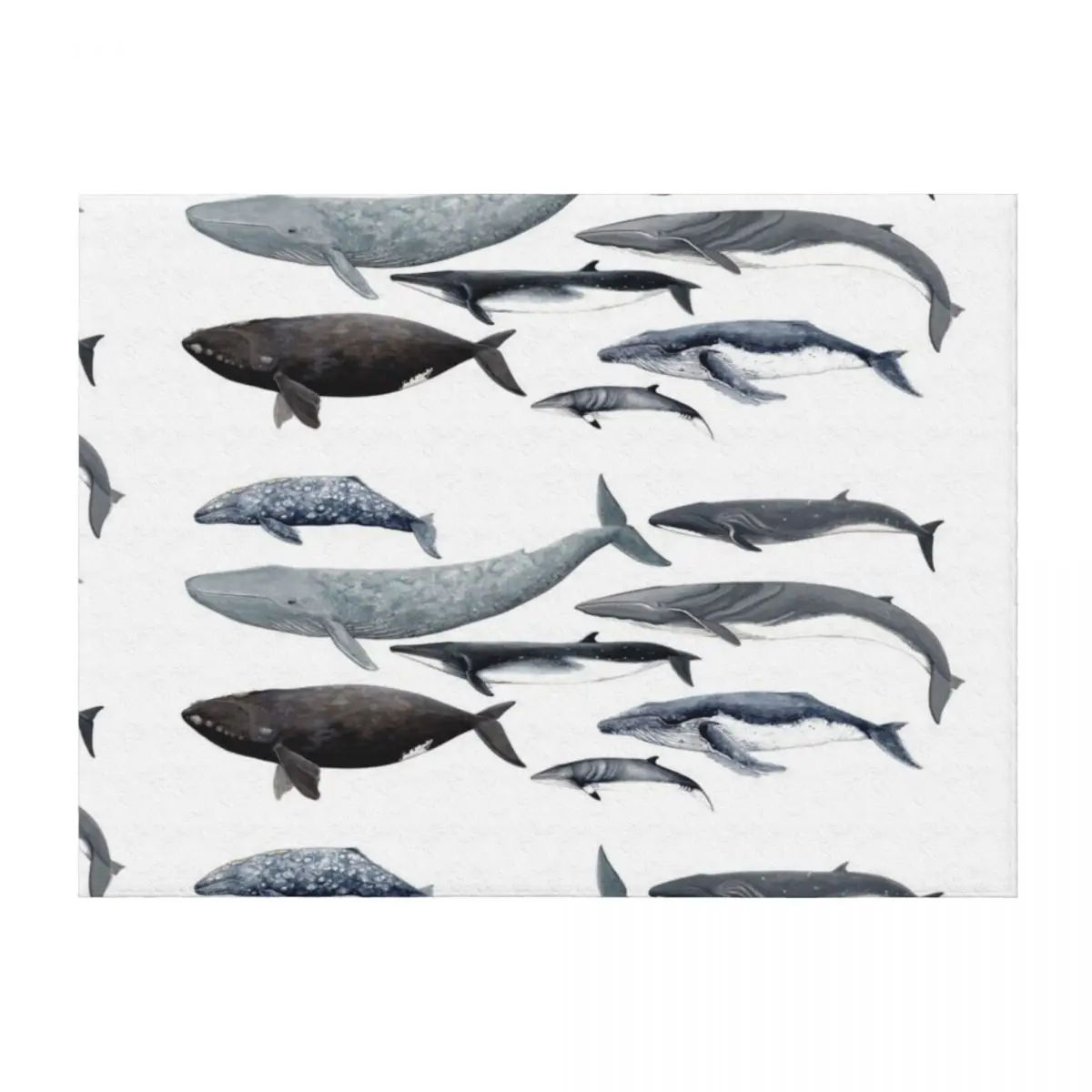 

Whales and right whale Throw Blanket Single Blankets For Bed Extra Large Throw Polar Blankets