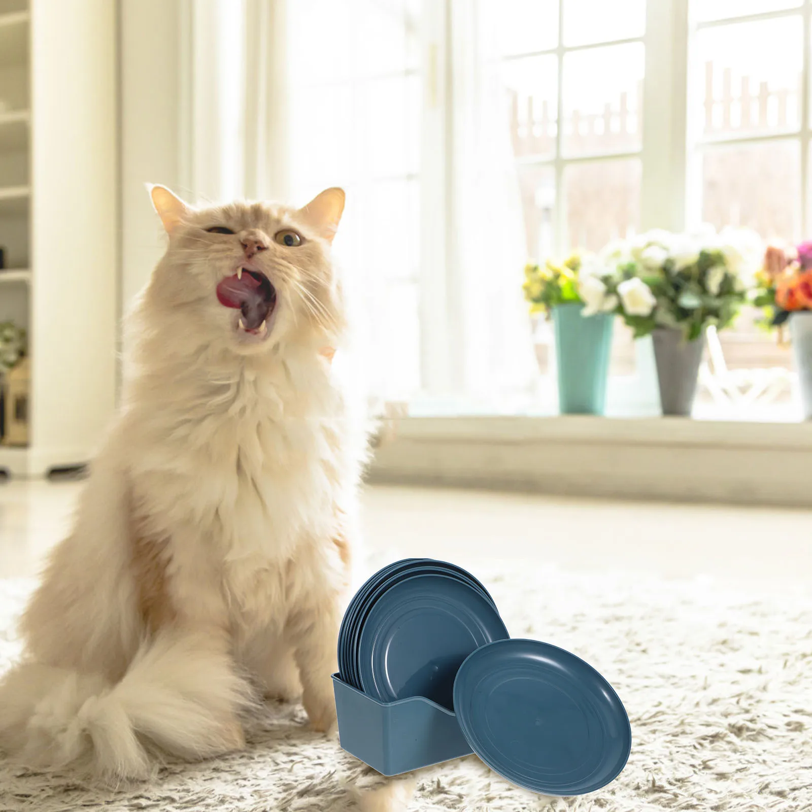 

8 Pcs Bowls Plates for Kittens Short Cat Bowl legged Cats Sky Cat Dishs Blue Pet Feeding Station Dog Bowl