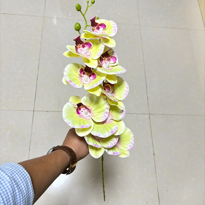 فرع زهرة فالاينوبسيس الاصطناعي بطباعة ثلاثية الأبعاد نبات الأوركيد ذو اللمس الحقيقي لتزيين حفلات الزفاف والمنزل