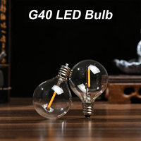 AC230V Globe LED G40 Bulb Lamp 25 Pack E12 Base Socket Holder IP44 Water Resistance Warm White for String Light Home Party Decor