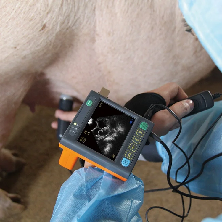 Cheap MSU-3 Full Digital Mechanical Sector Swine Ultrasound Machine
