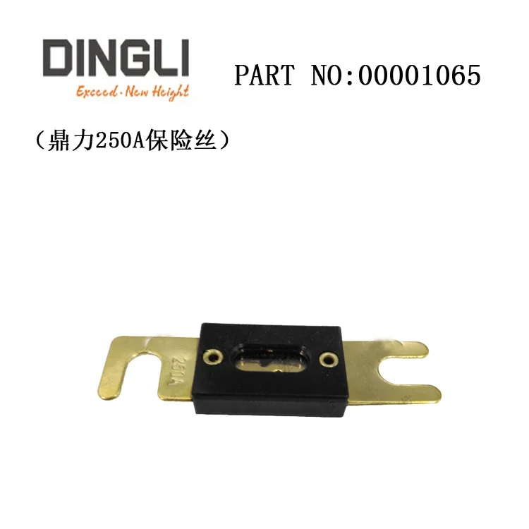 

Предохранитель China Dingli Aerial Platform 250A, номер от производителя. 00001065