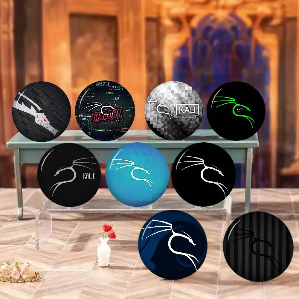 K-Kali Linux Creative Pins Funny Faces Round Snap-in Brooch Badge Backpack Hat Accessories Jewelry Gifts