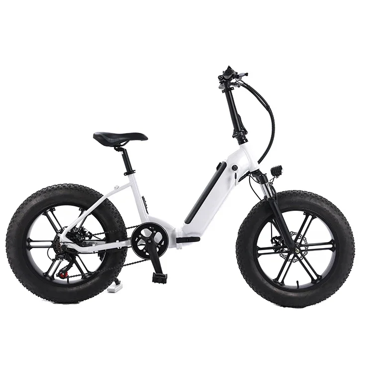 1500w pedal assisted electric bike bicycle,New hot sale 2021 48v 1000w mountain fat tire/20