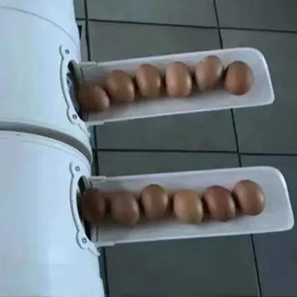 غسالة البيض الكهربائية الدجاج البط أوزة البيض غسالة البيض الأنظف غسالة 2300 قطعة/ساعة معدات مزرعة الدواجن #2