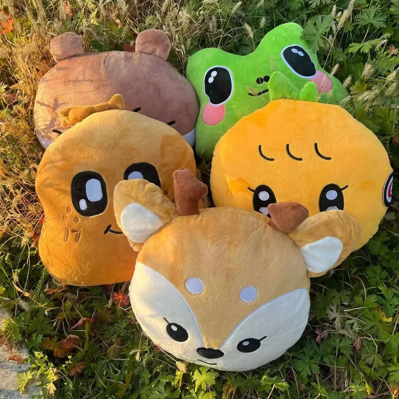 

30cm Kpop Idol JEONGHAN WONWOO Miniteen Plushies Face Cushion Soft Stuffed Animal Pillow Dolls Room Decor Fans Gifts