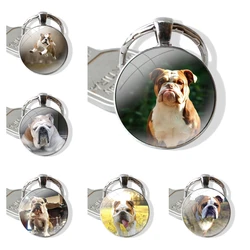 Keychain Handmade Glass Cabochon Key Ring Holder Pendant Key Chains Olde English Bulldog