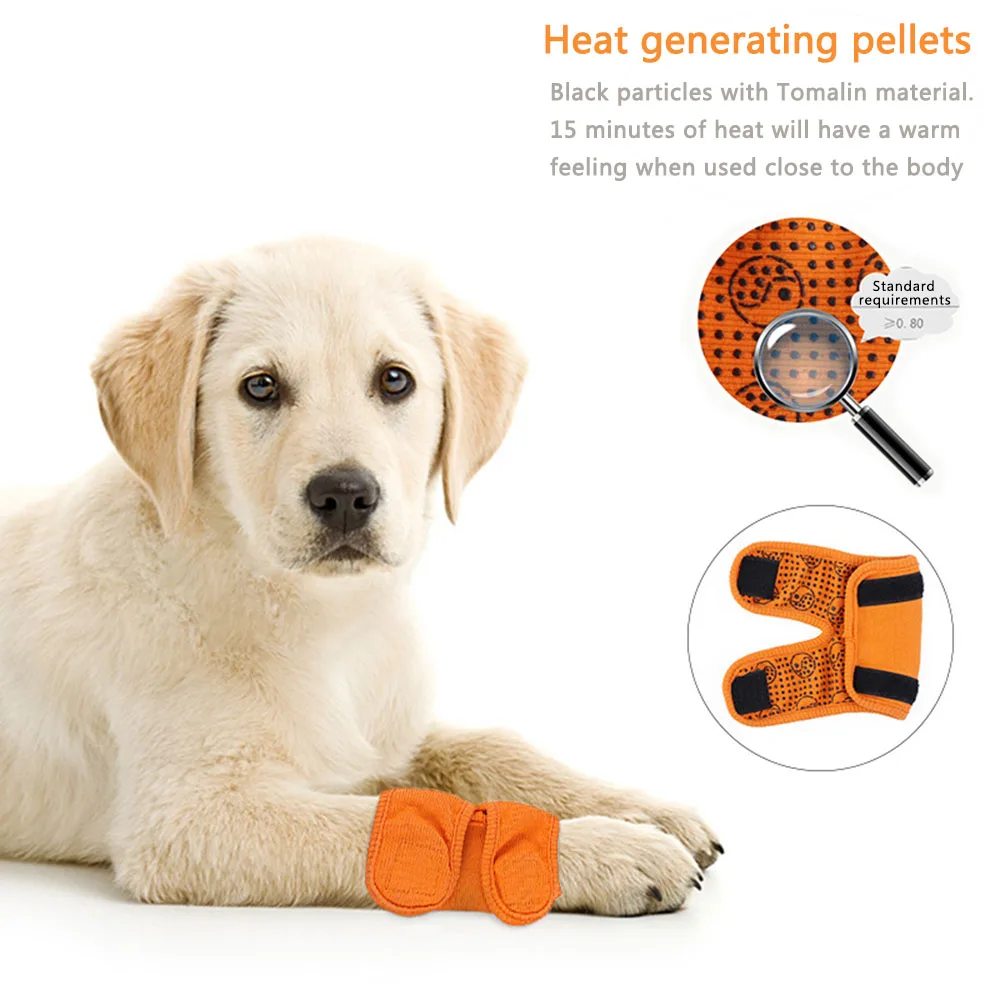 

Dog Leg Protectors Post-Operative Joint Knee Protector Pet Pain Relief Straps Dog Leg Orthopedic Rehabilitation Brace