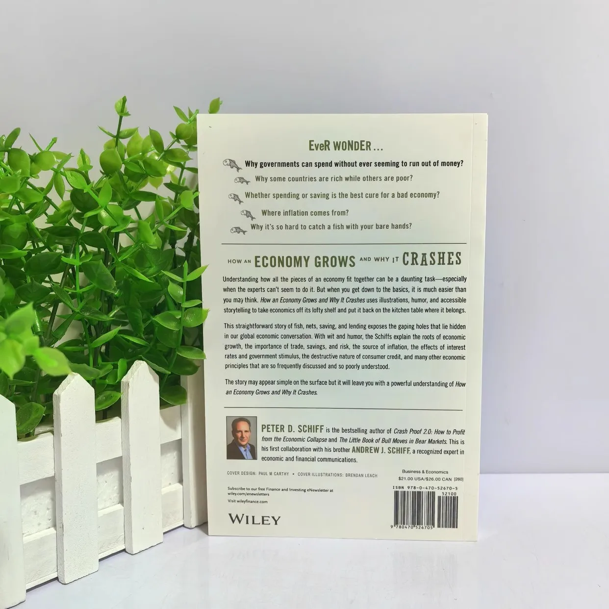 How An Economy Grows and Why It Crashes Paperback Book in English