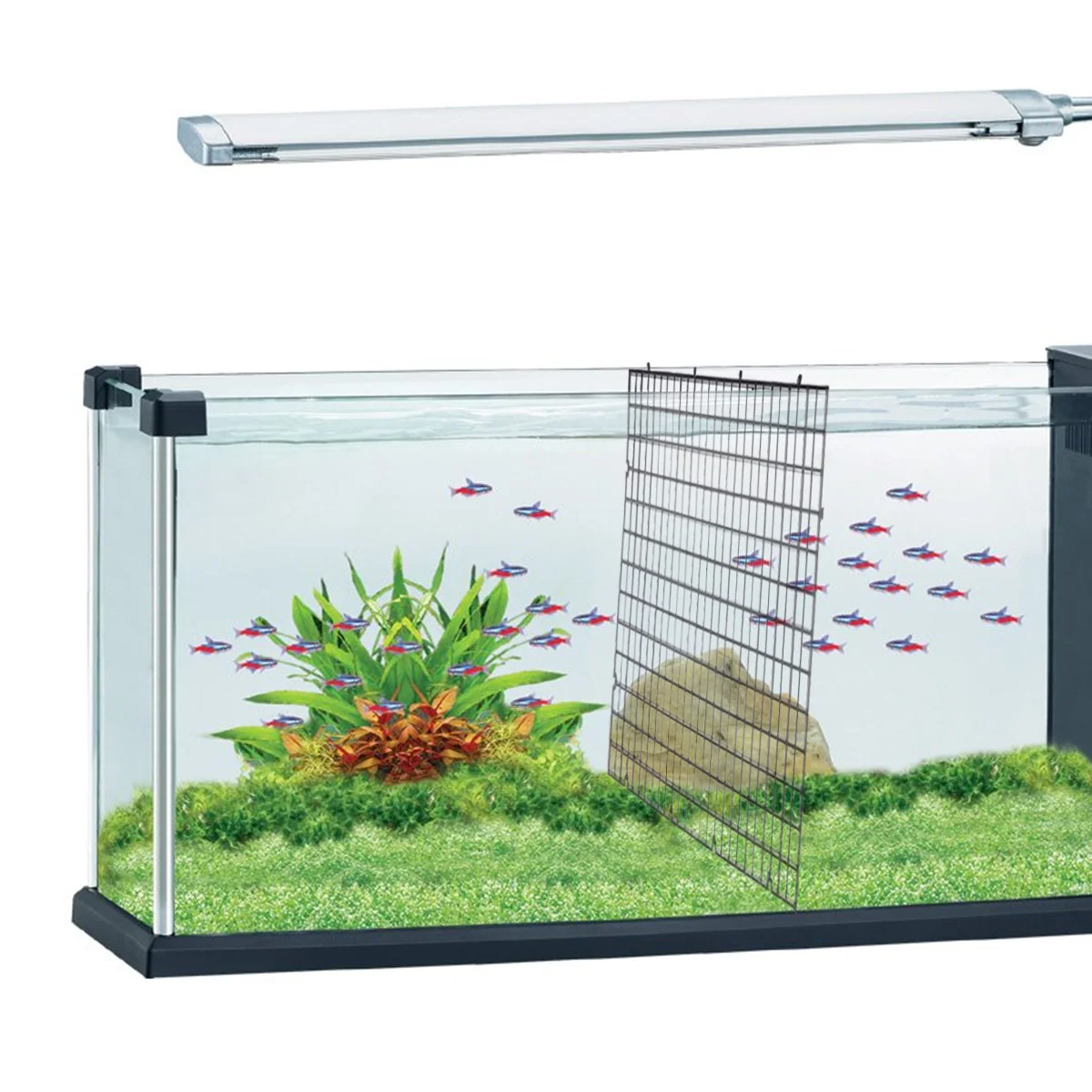 

8pcs Plastic Bottom Filter Grid For Aquarium Fish Segregation Board Net Holder Partition Plate Breeding Tank Isolation Divider