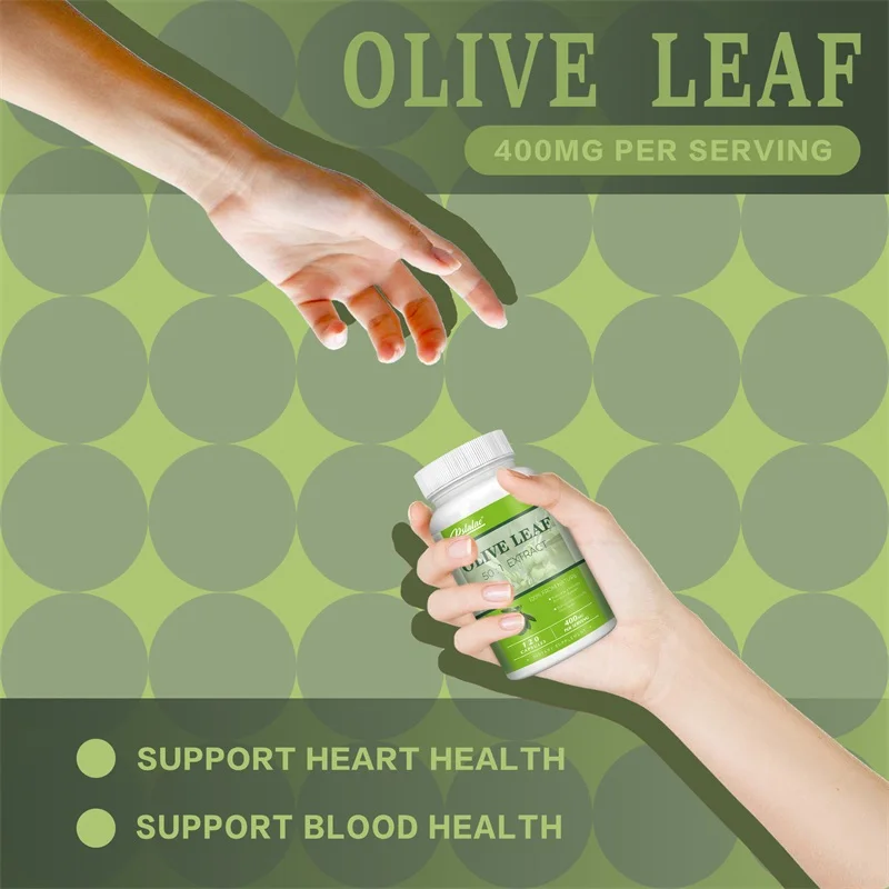 Olive Leaf - Supports Immune System and Cardiovascular Health, Promotes Blood Circulation