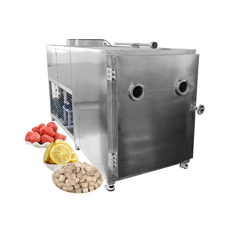 Vacuum Freeze Dryer Machine High Quality Large Lyophilizer Freeze-dried Pet Food Best Seller