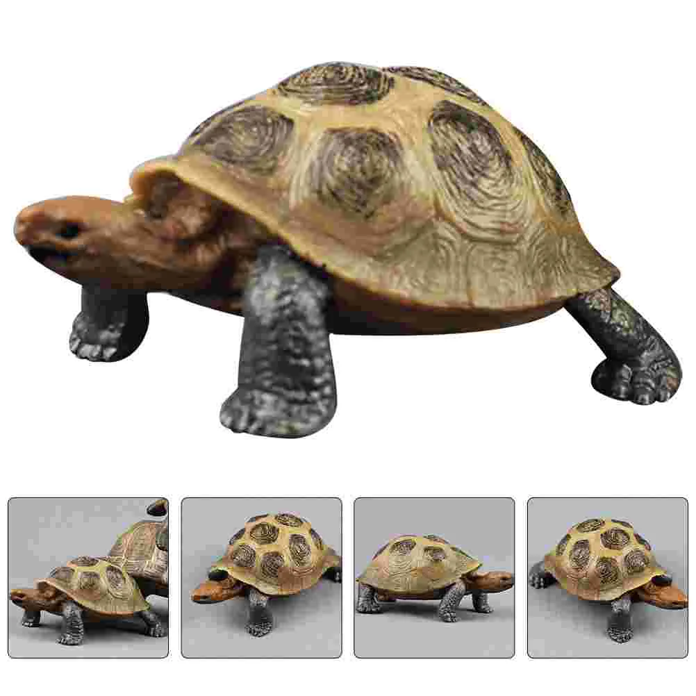 

2 Pcs Simulation Turtle Tortoise Model Ornament Toy for Kids Animal Models Figurines Pvc Decorative