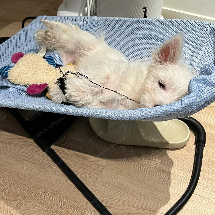 Pet Off-ground Moisture-proof Rocking Chair, Summer Breathable Mesh Pocket Cat Sleeping Mat