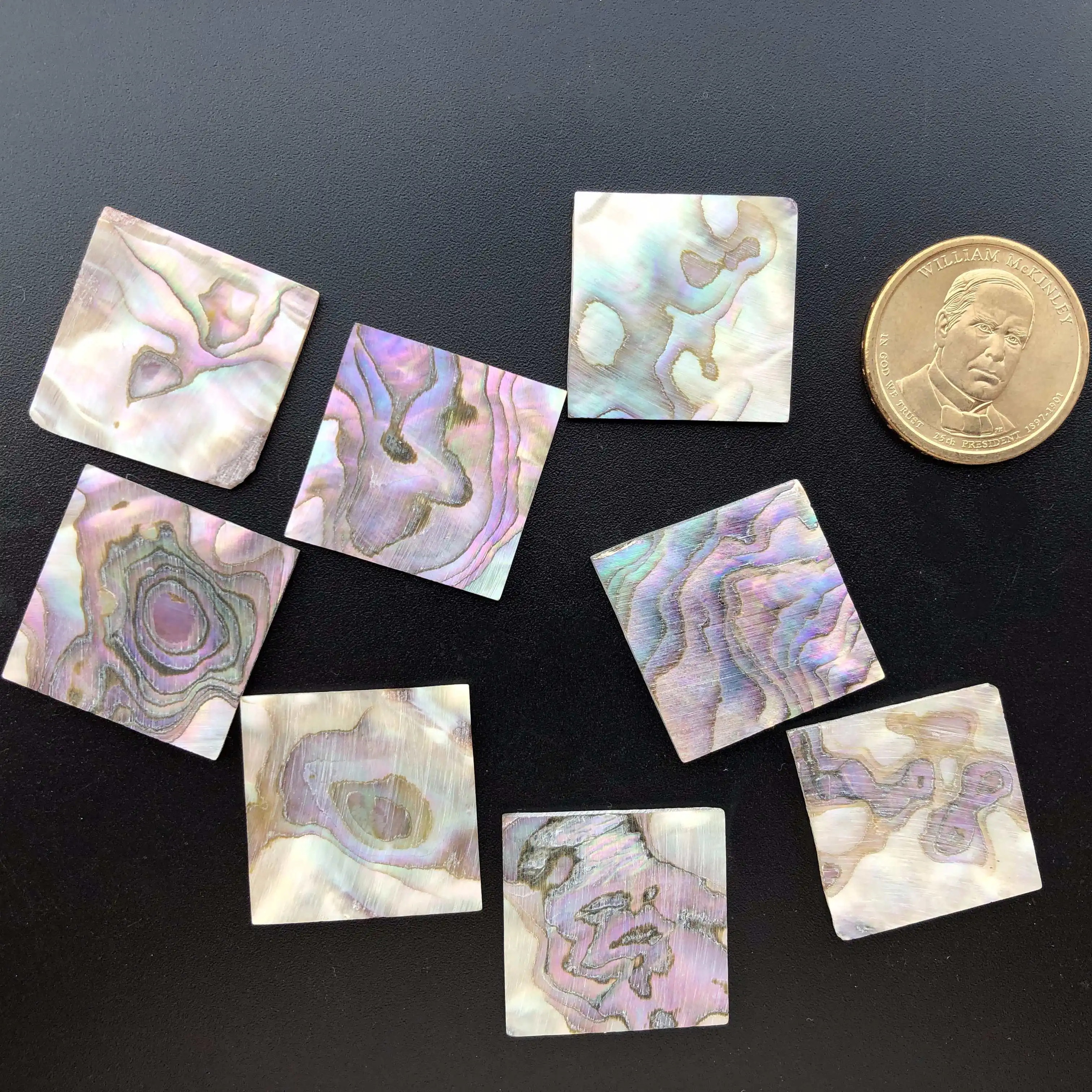 10x Abalone Shell 25x25x2mm Slice Inlay Guitar Luthier Rectangle Art Blank Square Mexico