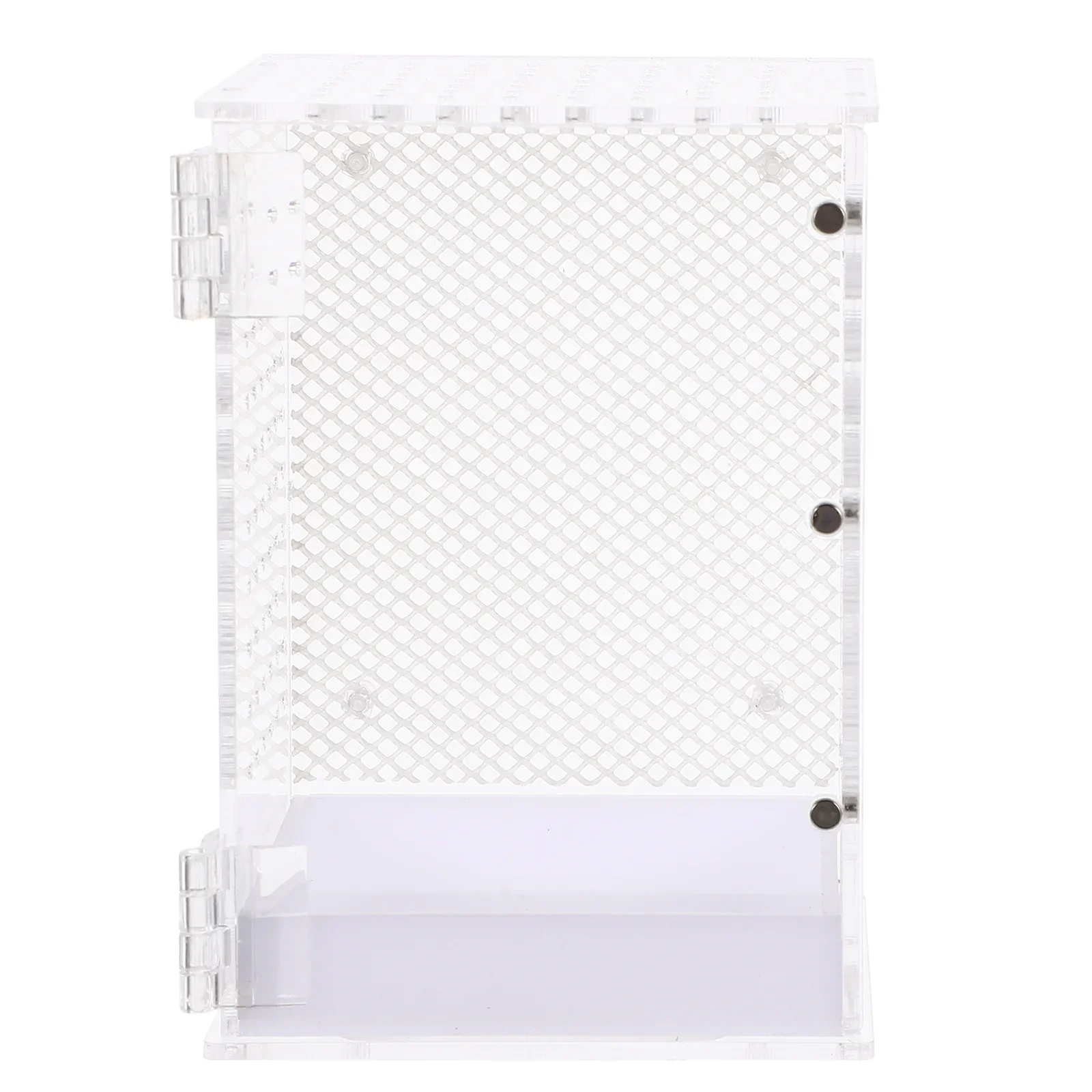 Reptile Pet Terrarium Insect Incubator Spider Mantis Holder Breeding Case White Acrylic Praying Habitat