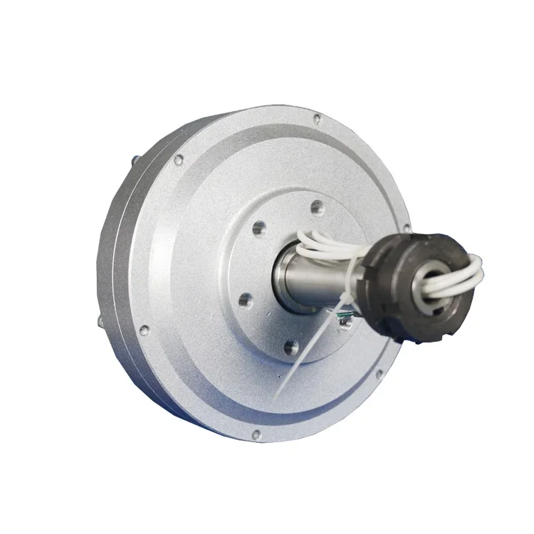 

300W Maglev Generator 12v 24v 48v Low Torque Permanent Magnet Generator