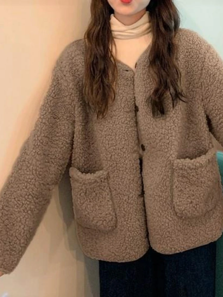 2024 Autumn Winter New Imitation Lamb Wool Thick Coat Small Fluffy Sweater for Warmth Age Reduction Slimming Casual Top Women