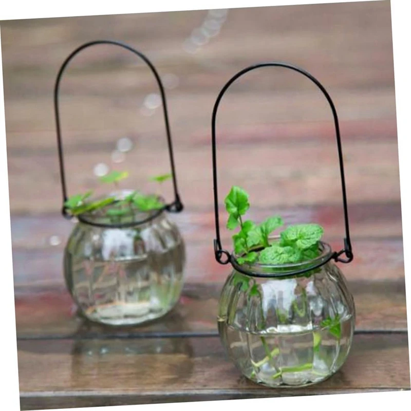 Iron Frame Hydroponic Pothos Pumpkin Glass Container Green Plant Modern Ornaments