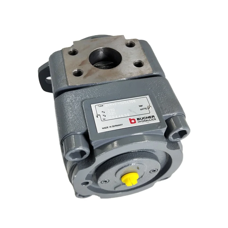 

QX PUMP QX23-005R12 QX22-006/22-006R06 QX42-020R/BIZ QXM42-025L108 Hydraulic Gear Pump Motor
