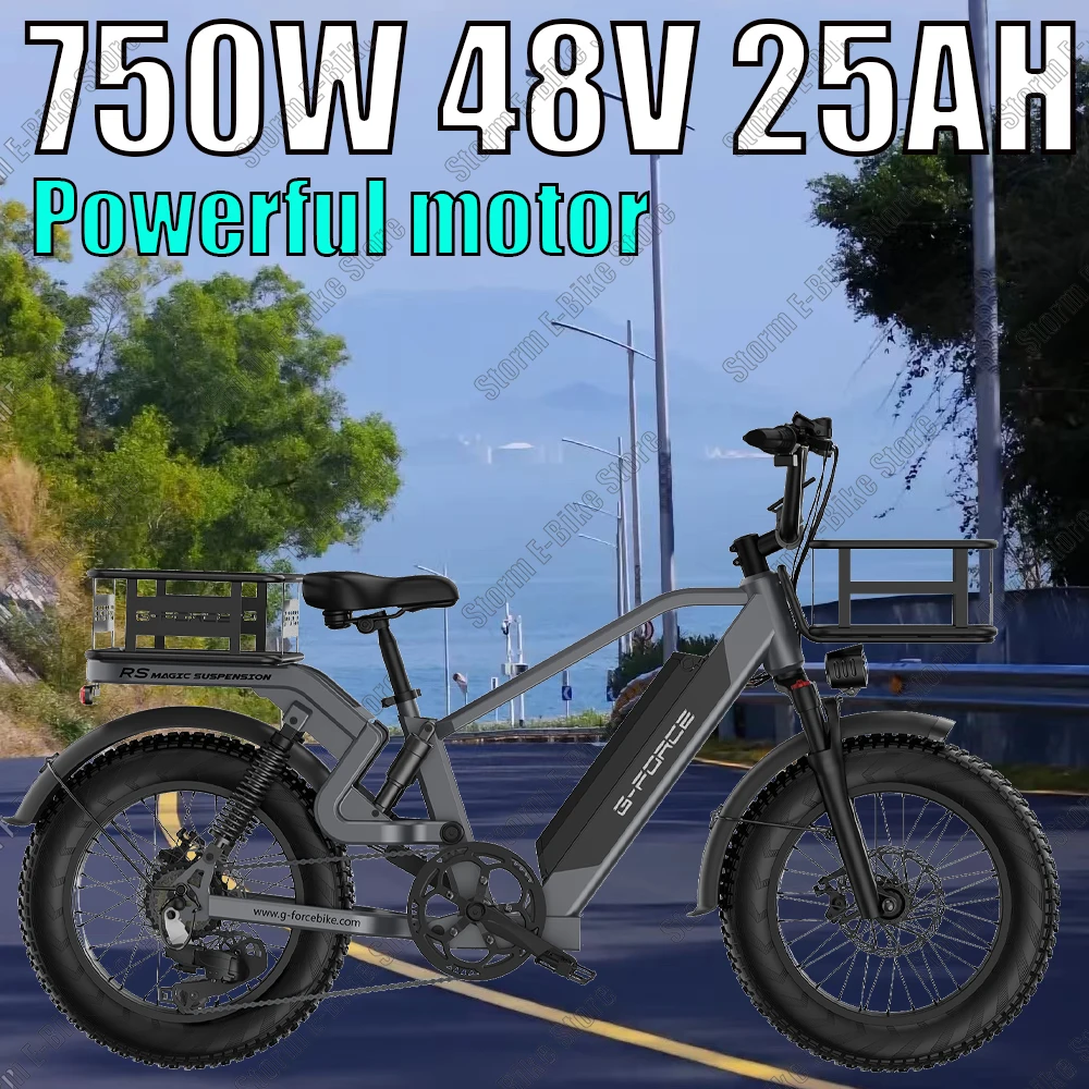 Load-carrying Electric Bicycle 750W Motor 48V25AH Lithium Battery Urban Commuter Electric bike Mountain Snow Road Urban Ebicycle