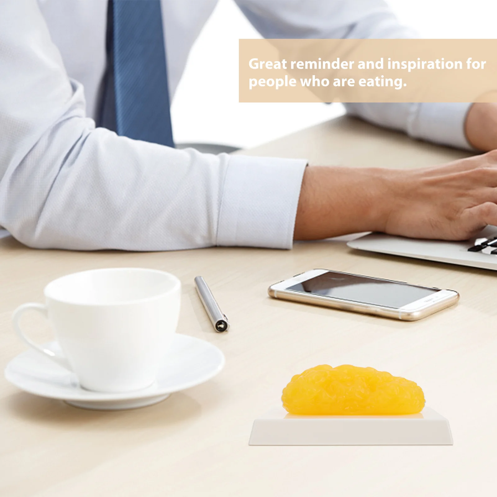 Plastic Fat Model Replica Anatomical Demonstration Device Body Science Educational Equipment Medical Teaching Aid Nutrition