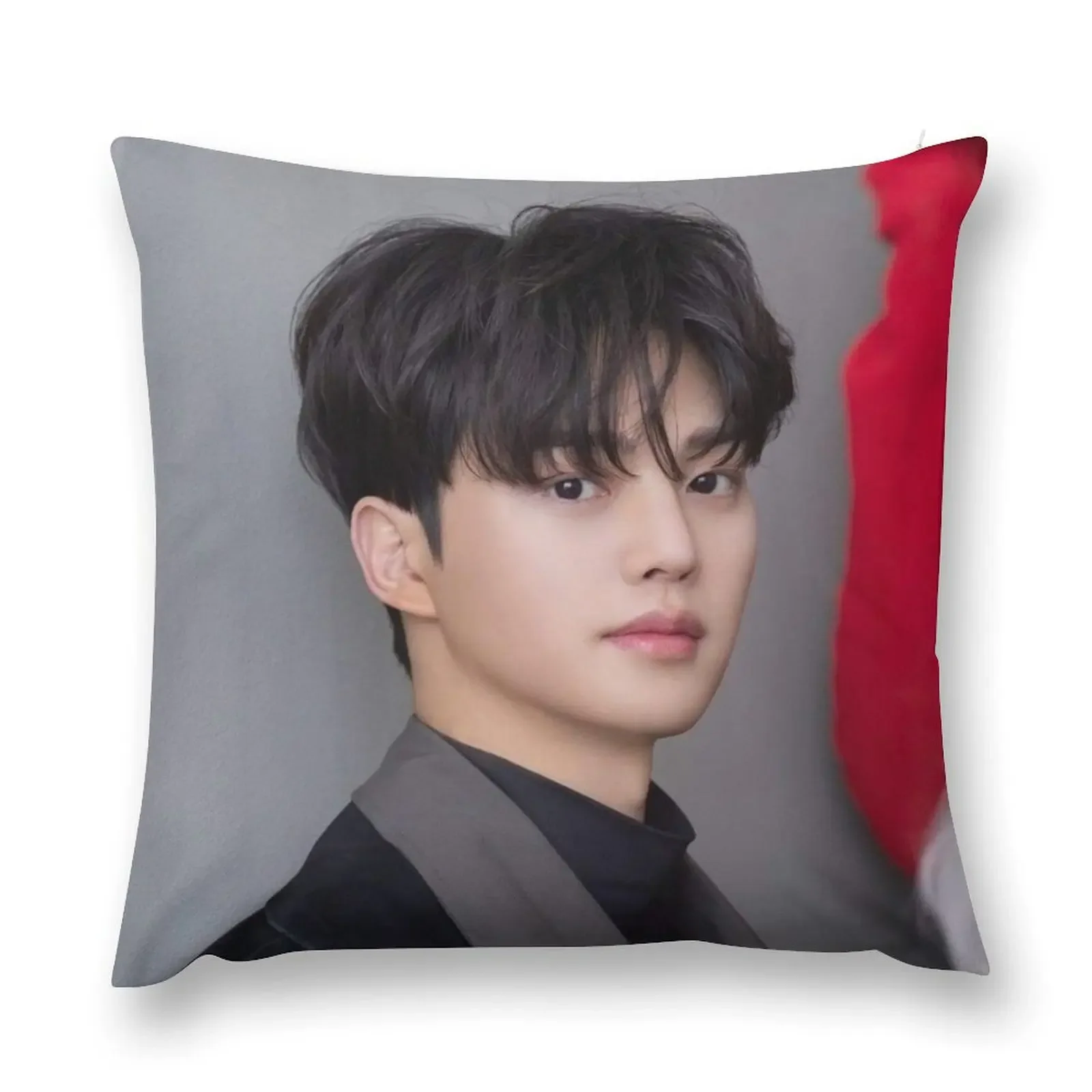 song kang model, song kang best boy #9 Throw Pillow Decorative Cushion christmas ornaments 2025 pillow