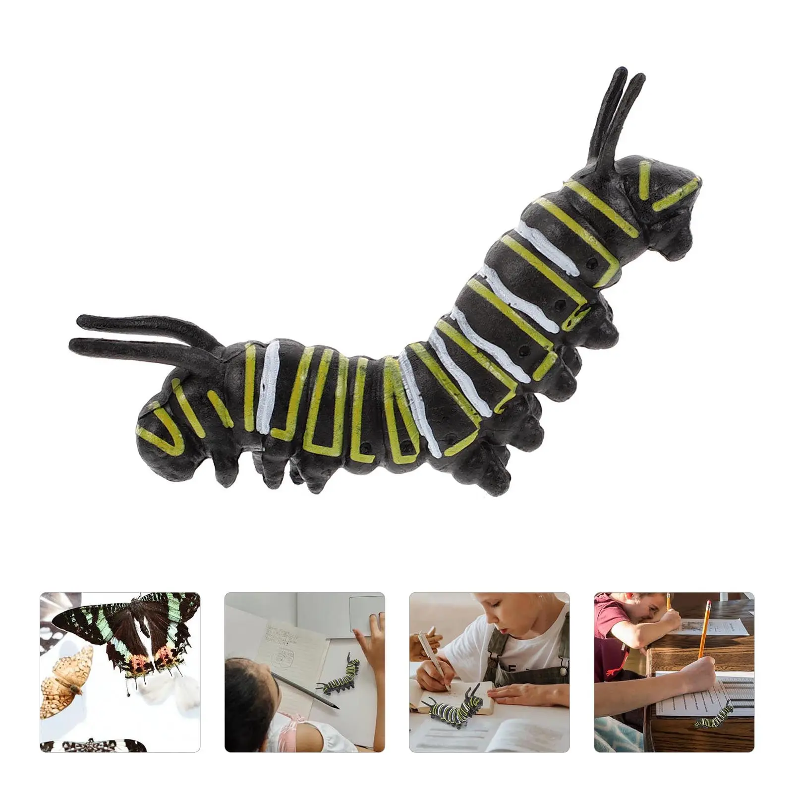 

Simulation Caterpillar Plastic Worm Vivid Realistic Design Indoor Decoration Educational Supplies for Kids Nature