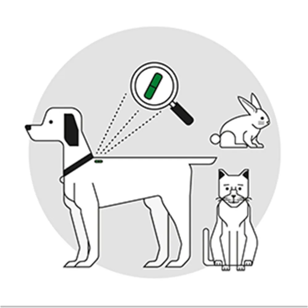 100Pack FDX-B International Standard 134.2KHz Animal Microchip Syringe - EM4305 Pet Identification Chip for Dogs/Cats/Pets