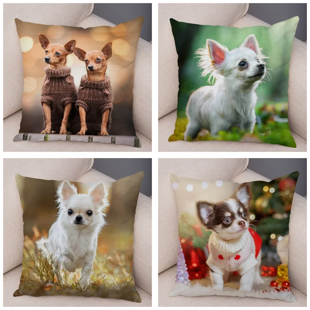 Cushion Cover Car Sofa Home Pillowcase Cute Pet Animal  Decoration Puppy Chihuahua