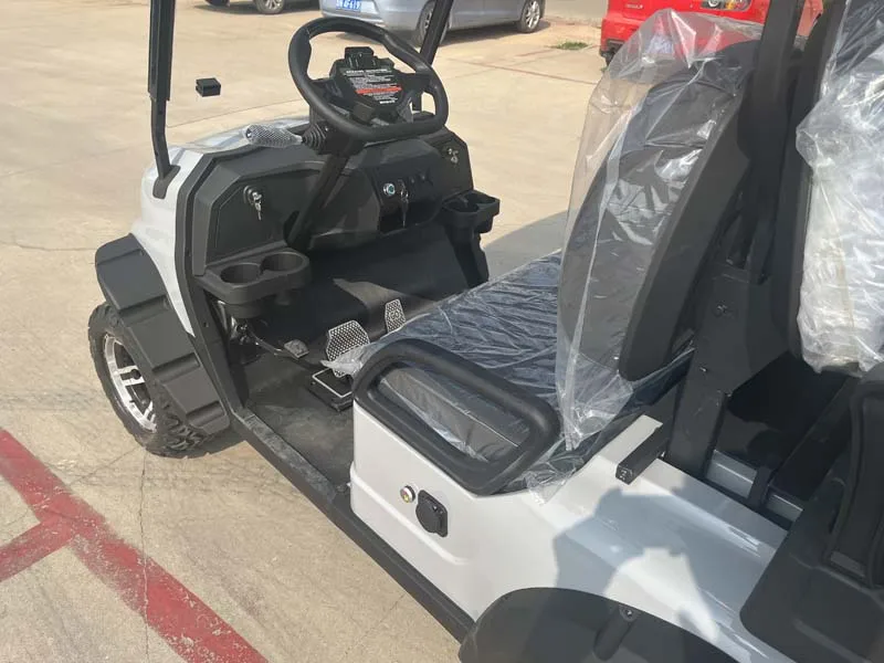 بيع المصنع مباشرة كرسي متحرك عربة جولف محرك عربة جولف كهربائية #3