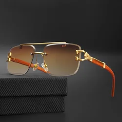 CATERSIDE Retro Square Sunglasses Men Women 2024 Luxury Brand Designer Golden Lion Decoration Sun Glasses Men Travelling Eyewear