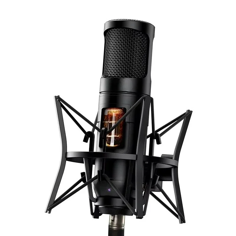 CM500 Large Diaphragm Vacuum Tube Condenser Microphone, Professional Mic for Studio Recording, Live Broadcast, Stage & Radio