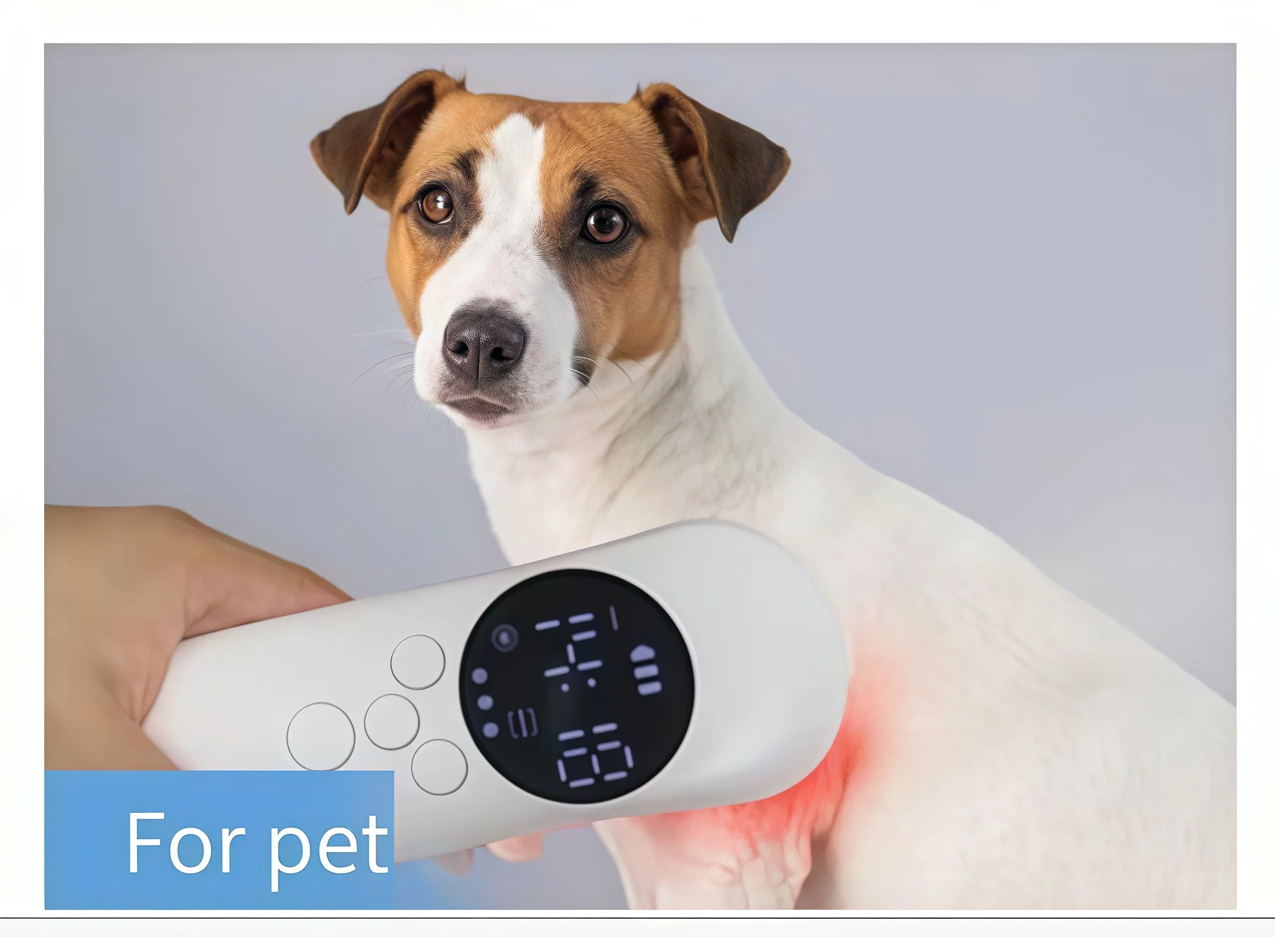 

Red Light Therapy Equipment for Pets Cold Laser Vet Device Pain Relief Home Dogs Cats Horses