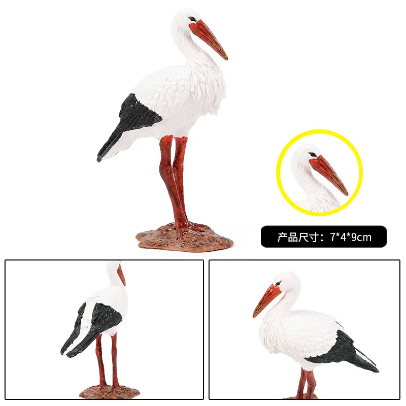 Simulation children\'s safari park birds world mini bird model toy crane stork flamingo ornaments